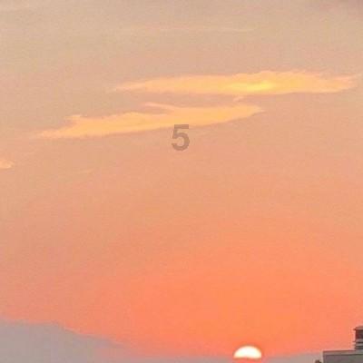 机智问答网页-精准答案尽在几年前被骗进传销现在警察会不会来问?